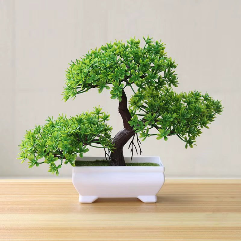 Serenity Mini Bonsai Tree ๐ฟ